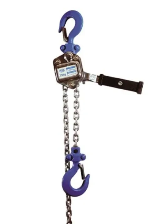 Wciągnik łańcuchowy 250kg.webp