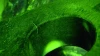 e.webp