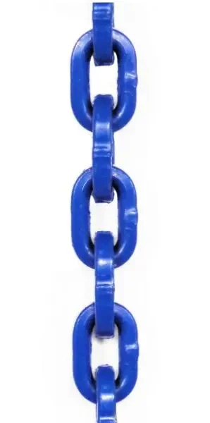 łańcuch leśny klasa 10 niebieski.webp