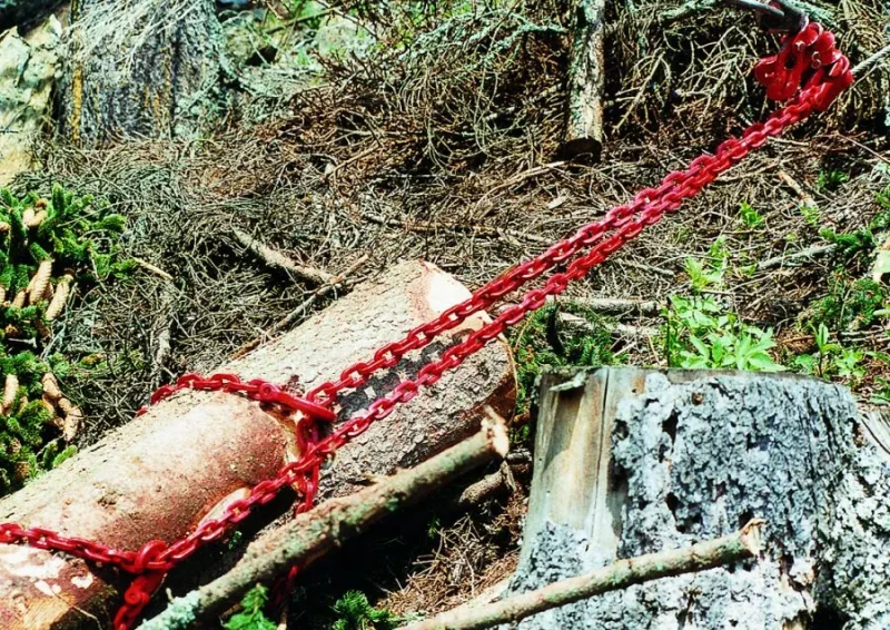 Einsatzfoto 07_19.webp