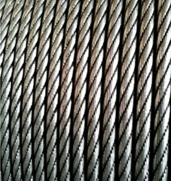 lina kowarkowana do zrywki drewna iwrc.webp