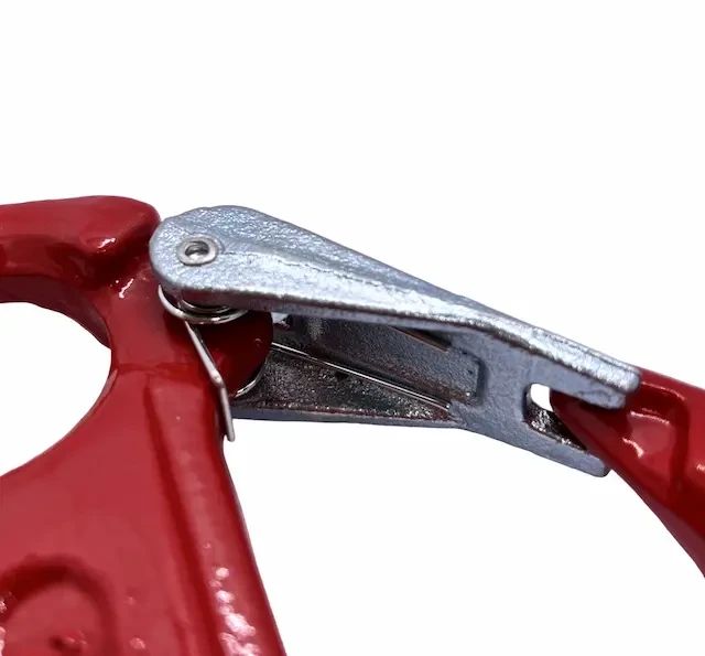 hak z uchem klasa 80.webp