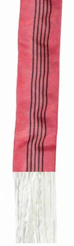 5 ton wężowe.webp